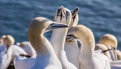 清镇伴游，定制QQ：3494206190微信：act1322